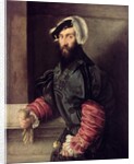 Portrait of a Nobleman by Italian School