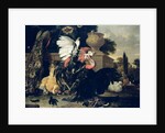 Fight between a Rooster and a Turkey, 1668 by Melchior de Hondecoeter