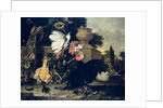 Fight between a Rooster and a Turkey, 1668 by Melchior de Hondecoeter