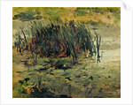 Reeds in Shallow Water by Paul Baum