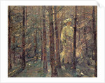Woman in a Wood, 1906 by Adolf Hoelzel