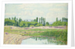 Landscape with Pond, near Rimini by Paul Baum
