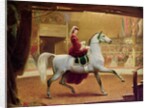 The Circus Rider, 1865 by Johann Jakob Eduard Handwerk