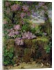 Blooming Lilacs in front of a Wall by Emilie von der Embde