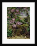 Blooming Lilacs in front of a Wall by Emilie von der Embde