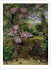 Blooming Lilacs in front of a Wall by Emilie von der Embde