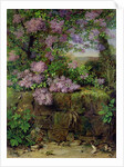 Blooming Lilacs in front of a Wall by Emilie von der Embde