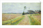 Holland, Landscape with Harvested Fields, 1890 by Paul Baum