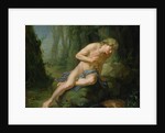 Narcissus, c.1770 by Johann Heinrich Tischbein