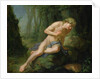 Narcissus, c.1770 by Johann Heinrich Tischbein