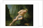 Narcissus, c.1770 by Johann Heinrich Tischbein