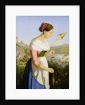 Italian Girl with a Spinning Dress by Friedrich Wilhelm Mueller