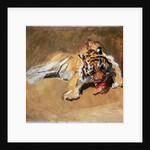 Feeding Tiger, 1901 by Max Slevogt