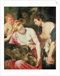 Meleager and Atalanta by Peter Paul Rubens