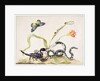 Scorpion and Snake by Maria Sibylla Graff Merian