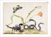 Scorpion and Snake by Maria Sibylla Graff Merian