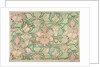 Wallpaper design by Alphonse Marie Mucha