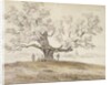 View of Wolfershausen bei Meiningen with an Old Oak Tree, 1844 by Carl Ernst Ludwig Wagner
