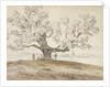 View of Wolfershausen bei Meiningen with an Old Oak Tree, 1844 by Carl Ernst Ludwig Wagner