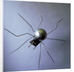 The Spider, 1996 by Lawrie Simonson