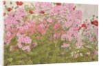 Pink Phlox and Poppies with a Butterfly by Linda Benton
