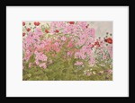 Pink Phlox and Poppies with a Butterfly by Linda Benton