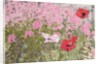 Poppies and Phlox by Linda Benton