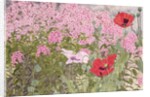 Poppies and Phlox by Linda Benton