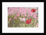 Poppies and Phlox by Linda Benton