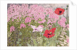 Poppies and Phlox by Linda Benton