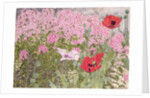 Poppies and Phlox by Linda Benton