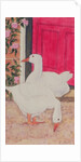 Ducks by the Open Door by Linda Benton
