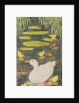 Mother Duck in the pond with her ducklings by Linda Benton