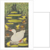 Mother Duck in the pond with her ducklings by Linda Benton