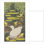 Mother Duck in the pond with her ducklings by Linda Benton