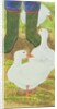 Ducks and Green Wellies by Linda Benton