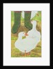 Ducks and Green Wellies by Linda Benton