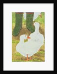 Ducks and Green Wellies by Linda Benton