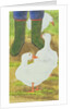 Ducks and Green Wellies by Linda Benton