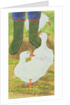 Ducks and Green Wellies by Linda Benton