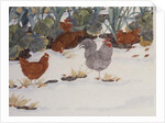 Hens in the Vegetable Patch by Linda Benton