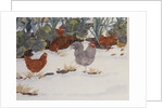 Hens in the Vegetable Patch by Linda Benton