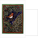 Robin and Holly by Linda Benton