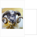 Long Horn Sheep by Lou Gibbs