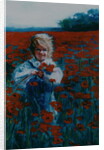 Poppies, 2000 Small girl in poppy field by Lee Campbell