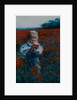 Poppies, 2000 Small girl in poppy field by Lee Campbell