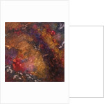 Corrosion abstract by Lee Campbell