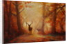 Majesty, 2011 forest deer by Lee Campbell