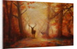 Majesty, 2011 forest deer by Lee Campbell