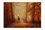Majesty, 2011 forest deer by Lee Campbell